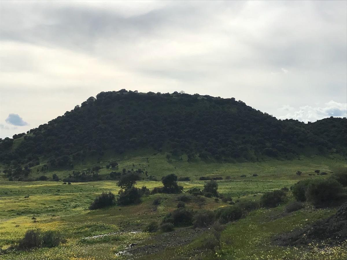 منزل الضيف Villafranca de Córdoba  في Casa Rural La Barandilla المظهر الخارجي الصورة